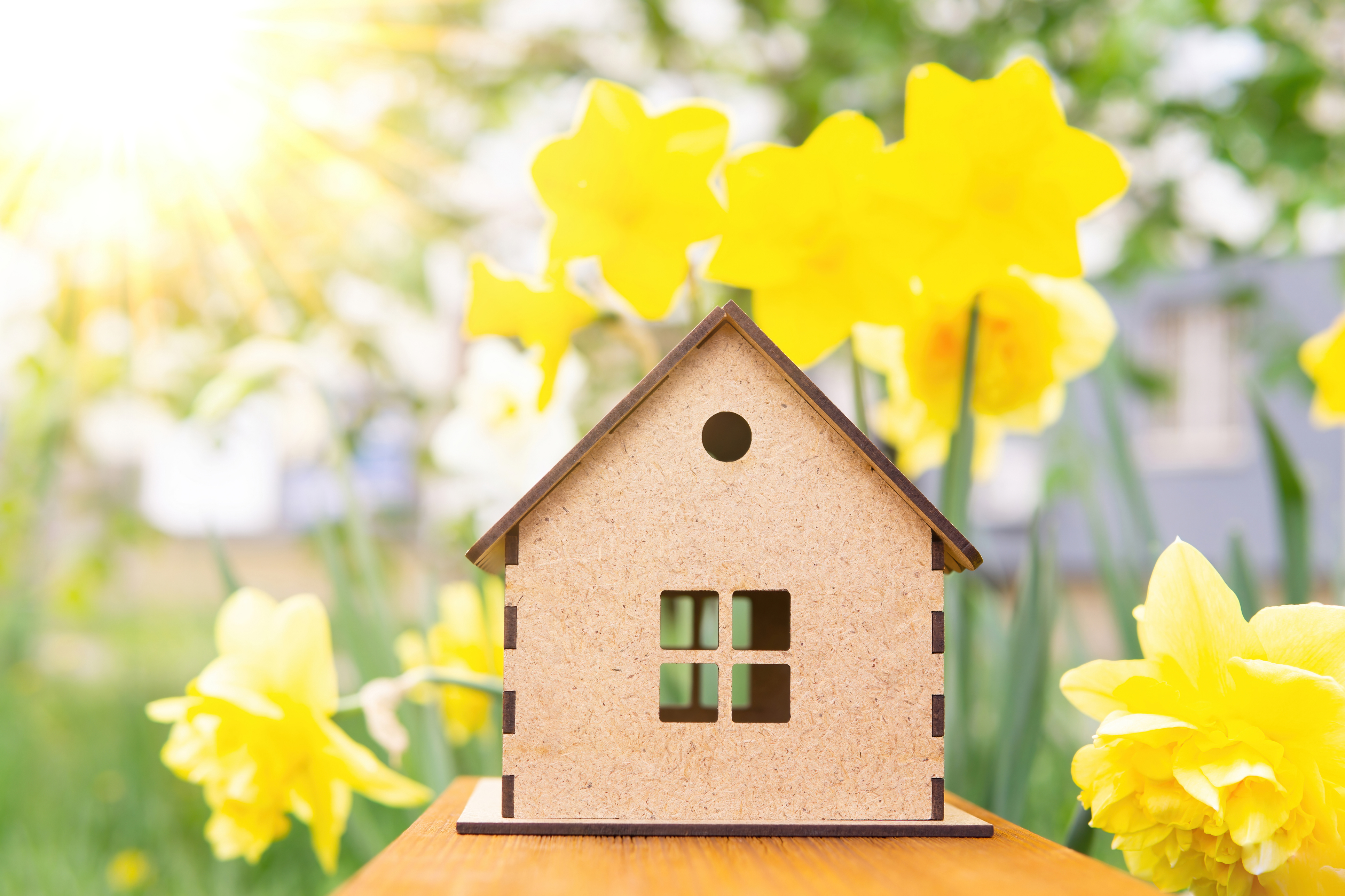 Top Tips for your Spring Home Refresh