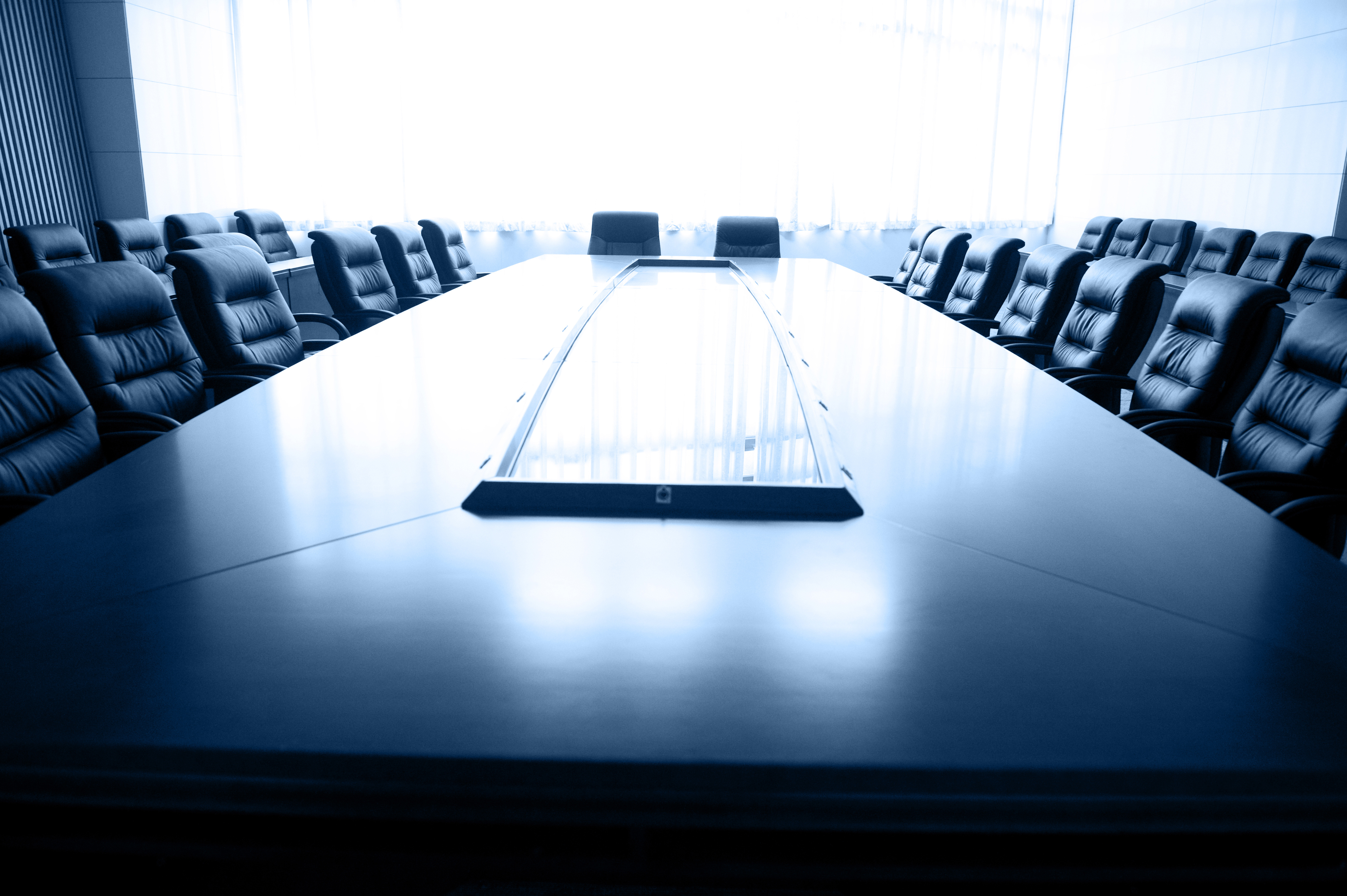 Virtual AGM 2024