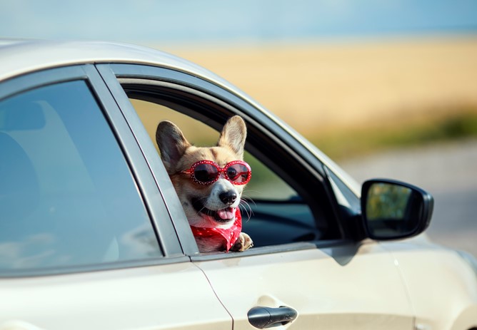 Buying a New Car in 2026 - Loan vs PCP